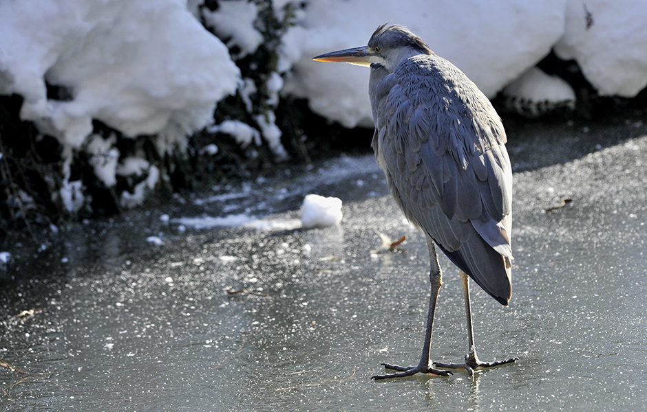 Cropix/Srđan Vrančić