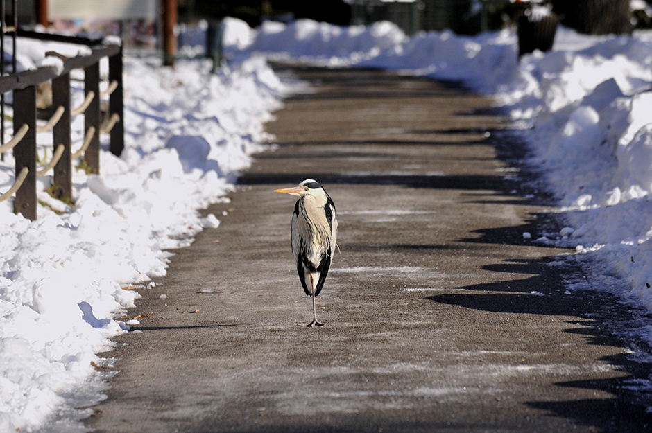Cropix/Srđan Vrančić