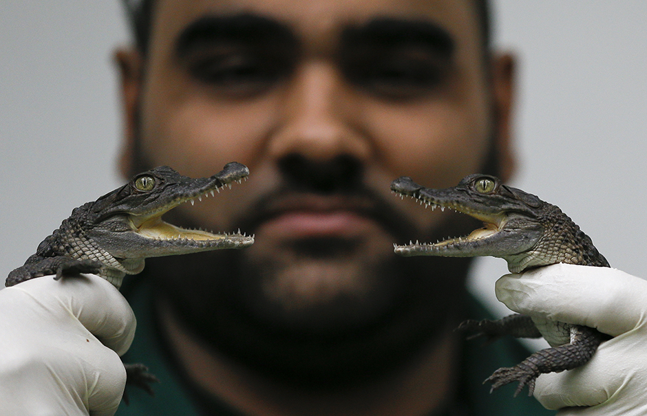 Tanjug/AP/Kirsty Wigglesworth