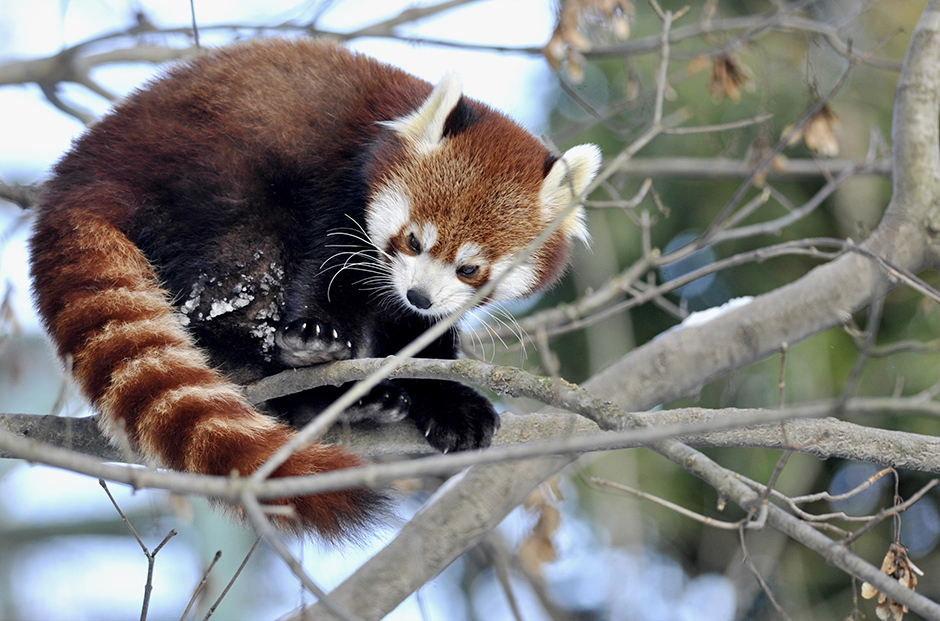 Cropix/Srđan Vrančić