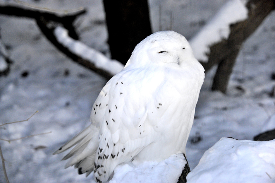 Cropix/Srđan Vrančić