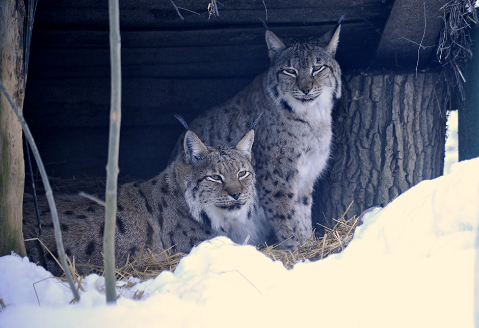 Cropix/Srđan Vrančić