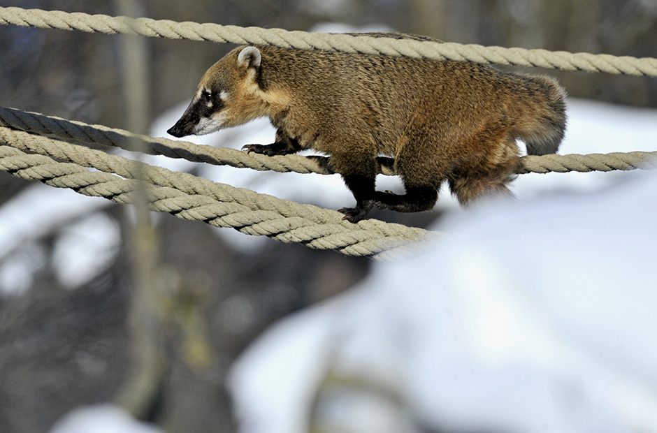 Cropix/Srđan Vrančić