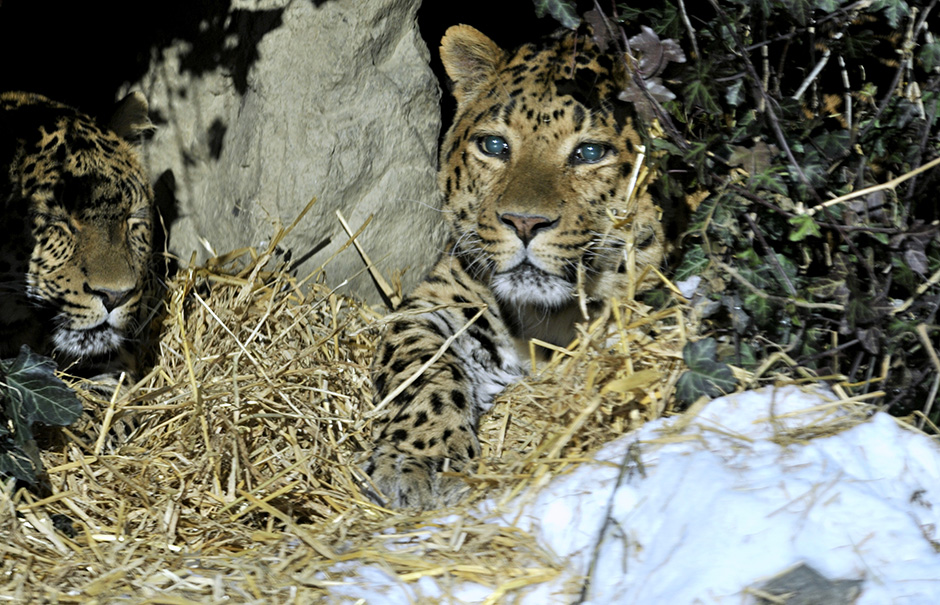 Cropix/Srđan Vrančić