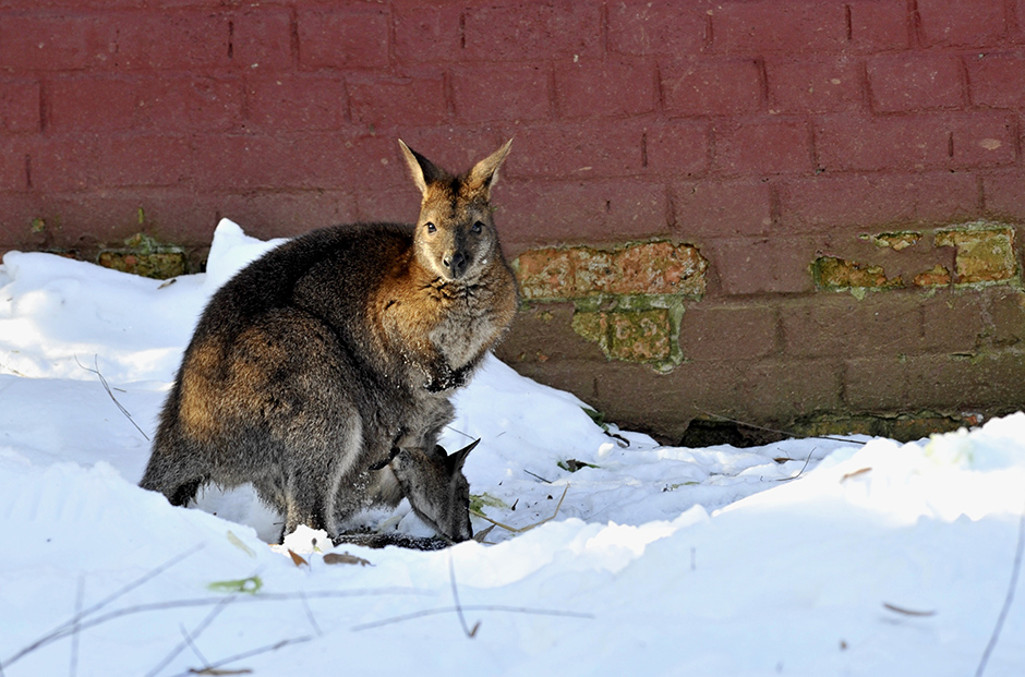 Cropix/Srđan Vrančić