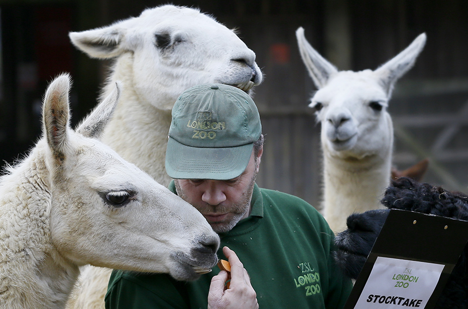 Tanjug/AP/Kirsty Wigglesworth