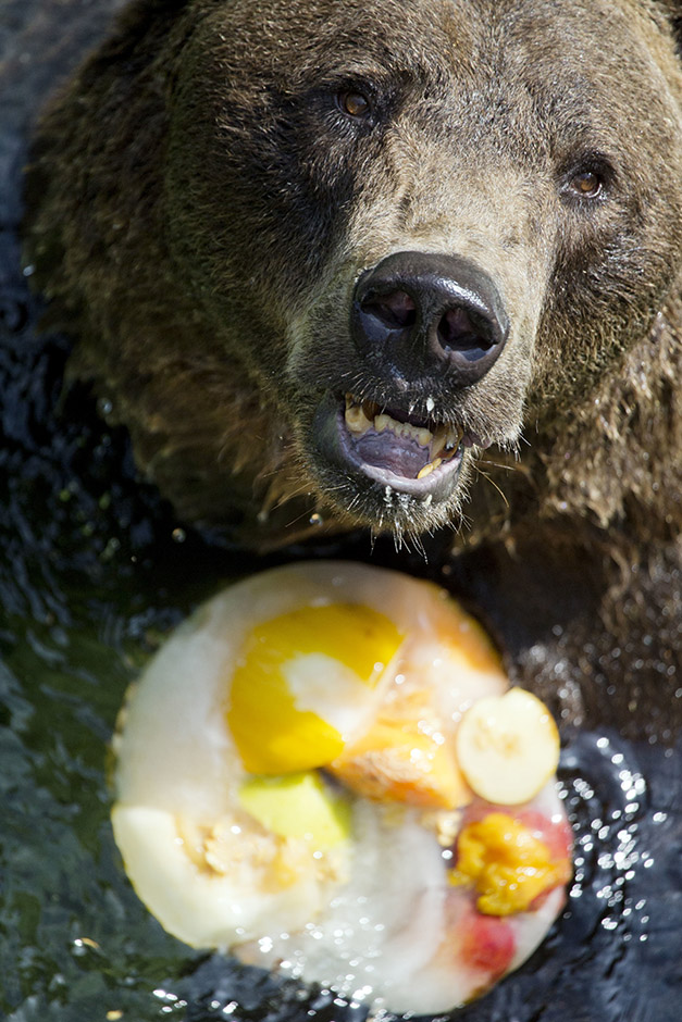 Tanjug/AP/Andrew Medichini