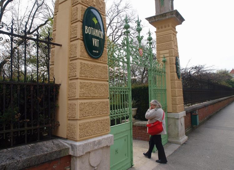 Botanički vrt Zagreb, Botanički vrt PMF