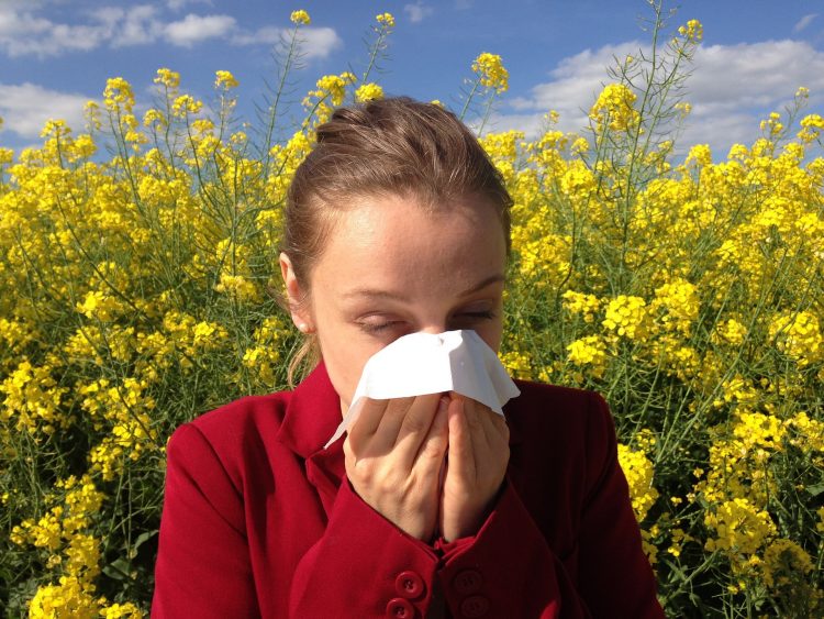 alergija, prehlada