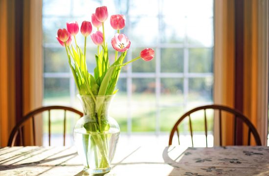 cvijeće, vaza, tulipani