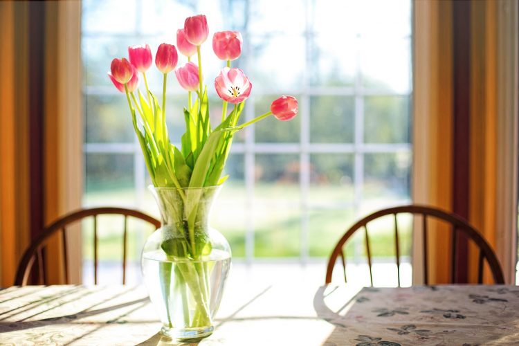 cvijeće, vaza, tulipani