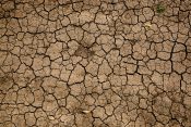 klimatske promjene, suša, zemlja, ispucalo tlo
