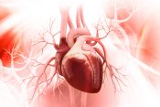 srce, operacija srca, transplatacija srca, srčane bolesti, srčani problemi