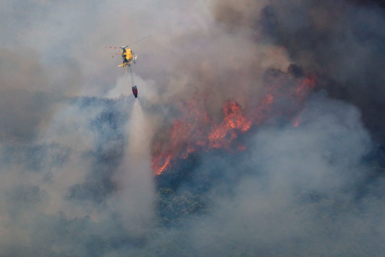Španjolska, šumski požari