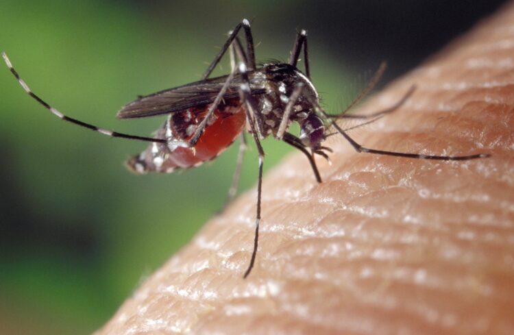 Zašto vas komarci "vole", a druge nikad ne grizu?.