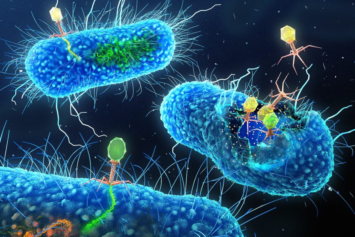Davno zaboravljeni antibiotik sad nas može spasiti od nekih bakterija - N1