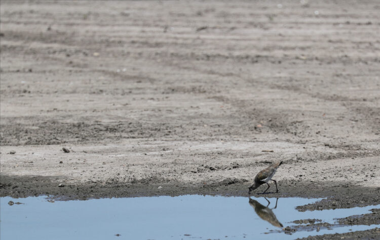 Agustin Marcarian/Reuters