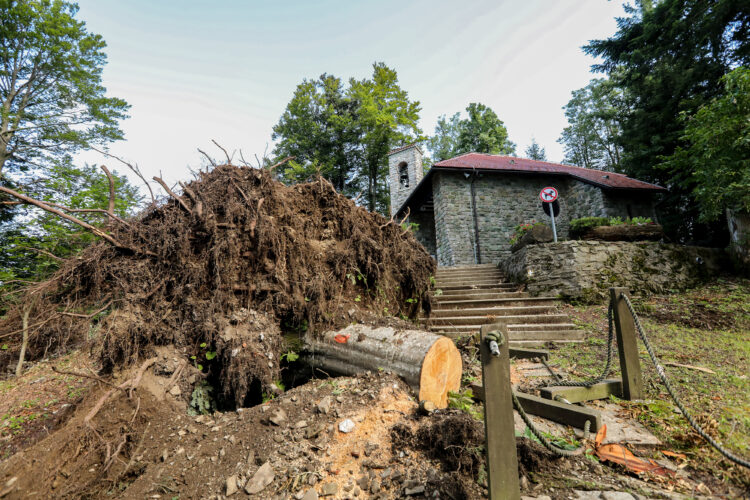 Šteta od nevremena 2023. "neviđena": Zahvaćeno više od 4 milijuna metara šuma