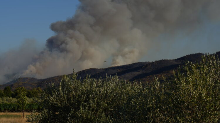 Veliki požar u zaleđu Skradina.