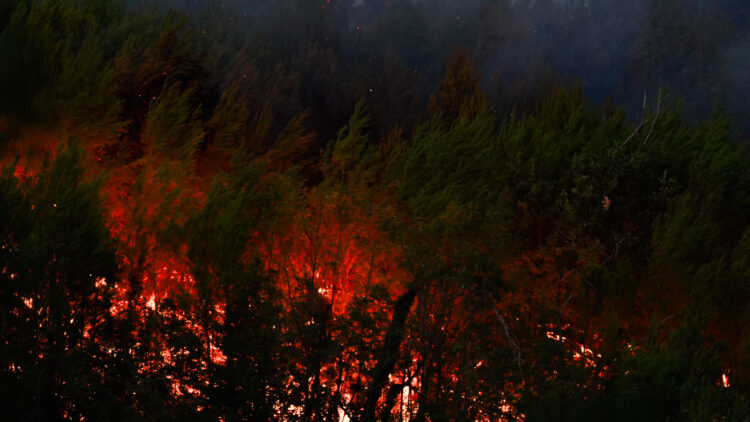Požar u zaleđu Skradina