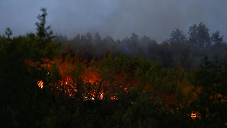 Požar u zaleđu Skradina