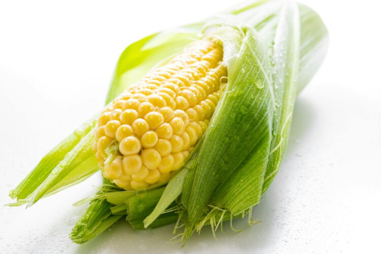 Ne bacajte ovaj dio kukuruza: Izuzetno je ljekovit i pomaže s gihtom, kao i s celulitom.