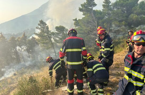 Vatrogasci gase požar