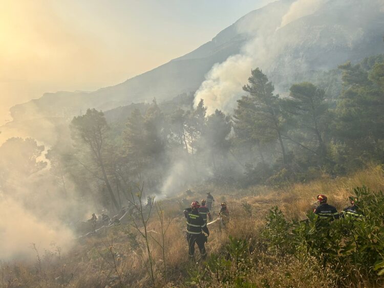 Vatrogasci gase požar