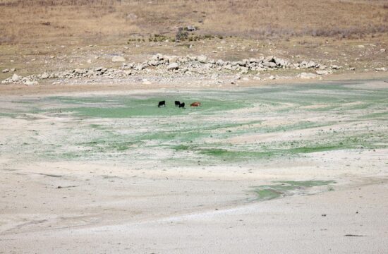 jezero poma na siciliji se suši, životinje pasu gdje je nekad bila voda