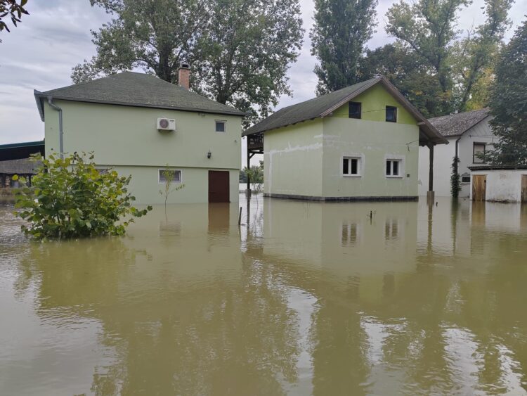 Poplavljene kuće u Zelenom otoku