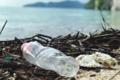 plastična boca, komad stiropora i sitno smeće na grančicama na šljunčanoj plaži uz more