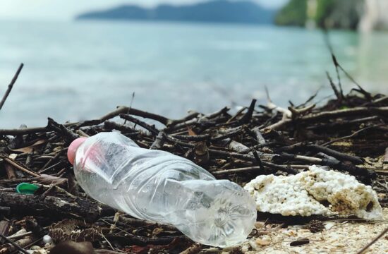 plastična boca, komad stiropora i sitno smeće na grančicama na šljunčanoj plaži uz more