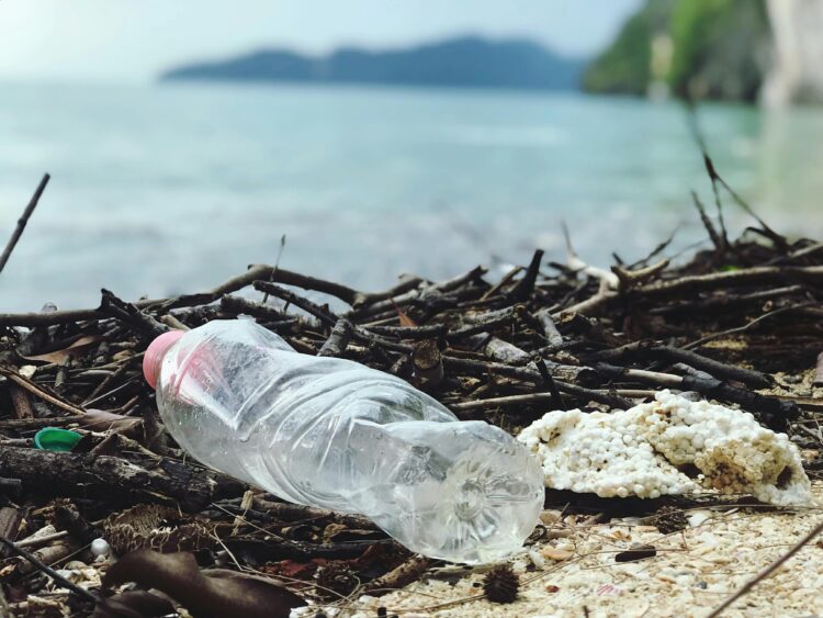 plastična boca, komad stiropora i sitno smeće na grančicama na šljunčanoj plaži uz more