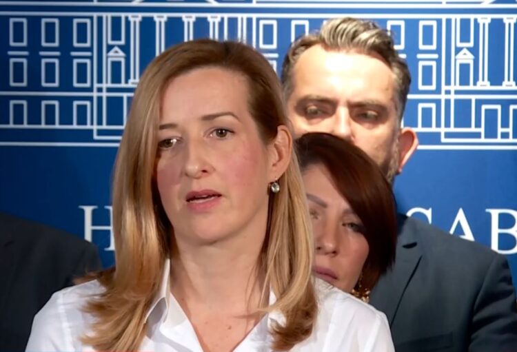 Mirela Ahmetović na presici u Saboru.