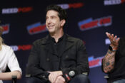 david schwimmer