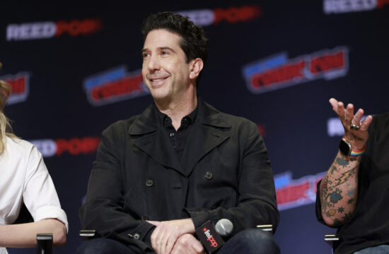 david schwimmer